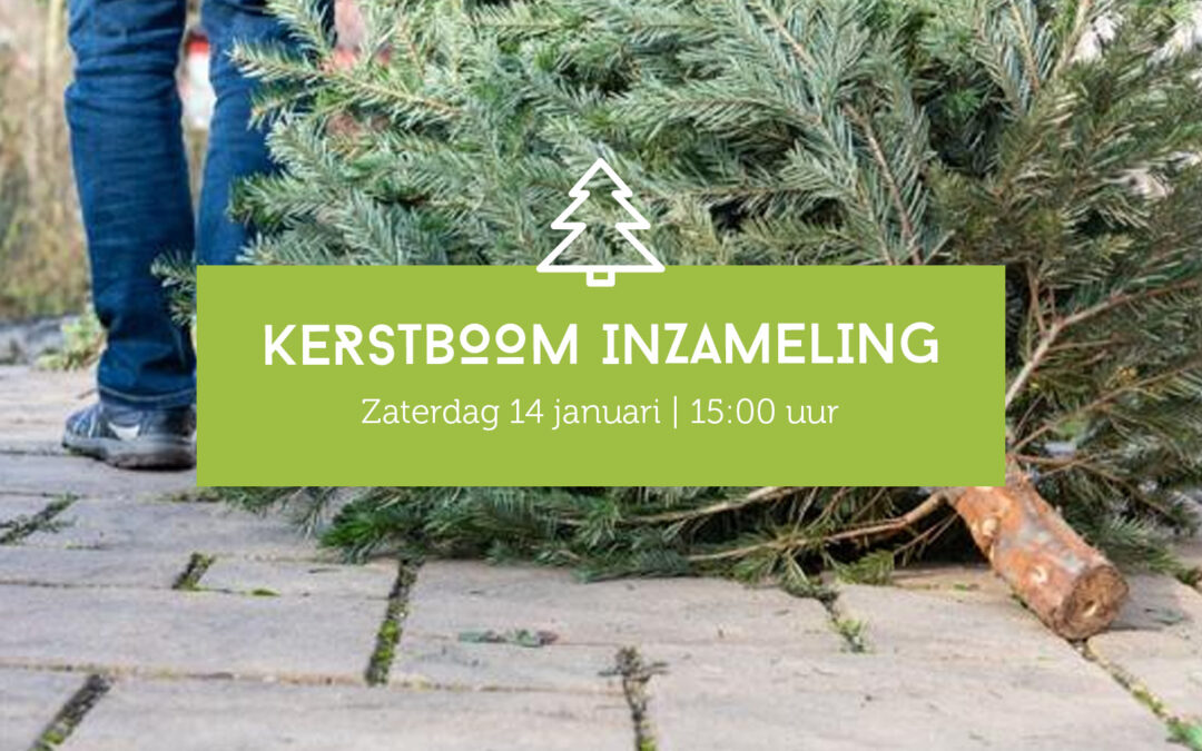 Kerstboominzameling op 14 januari om 15:00 uur